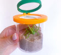 Insect Exploration Kit