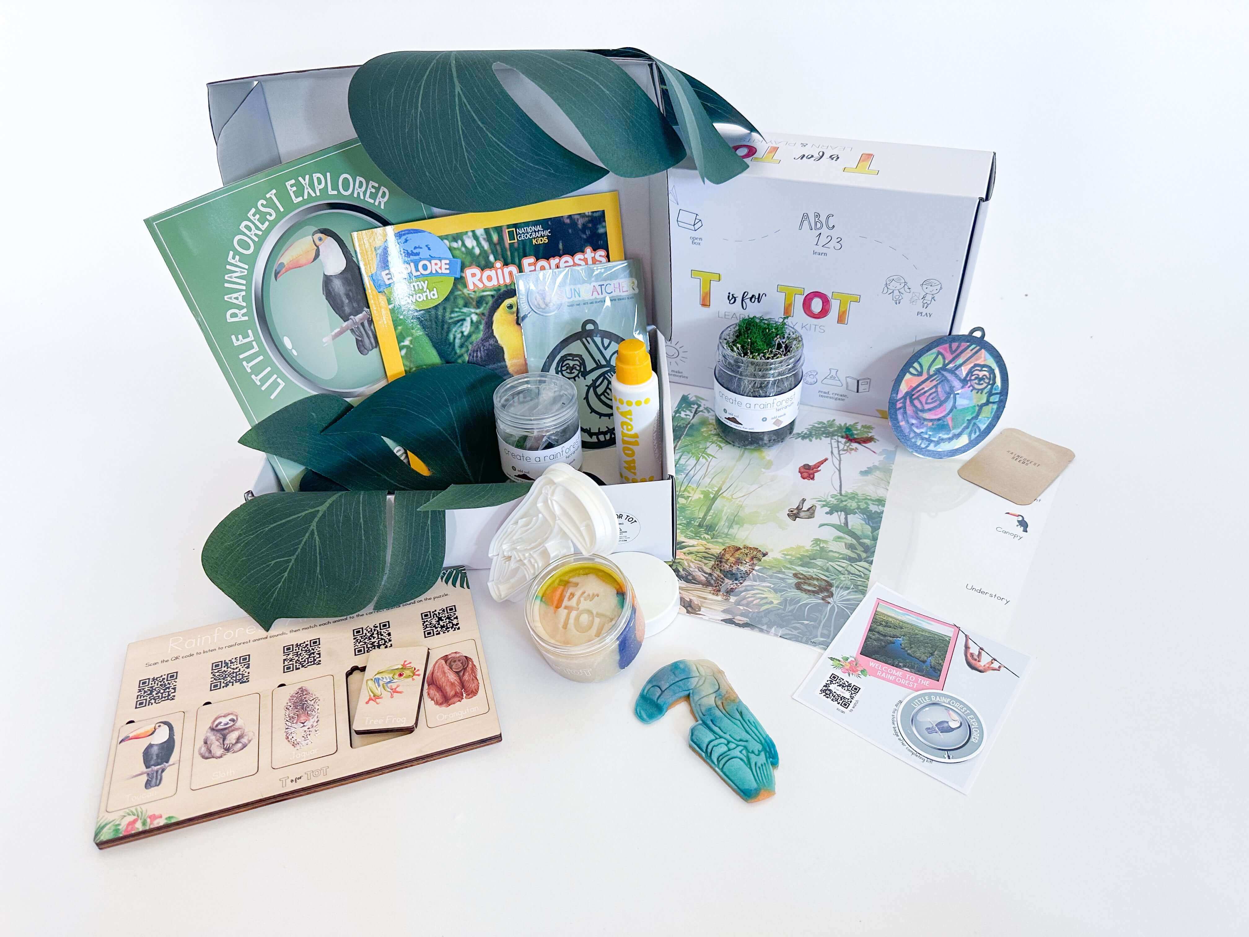 STEM-Based Rainforest Learning Kit for Kids