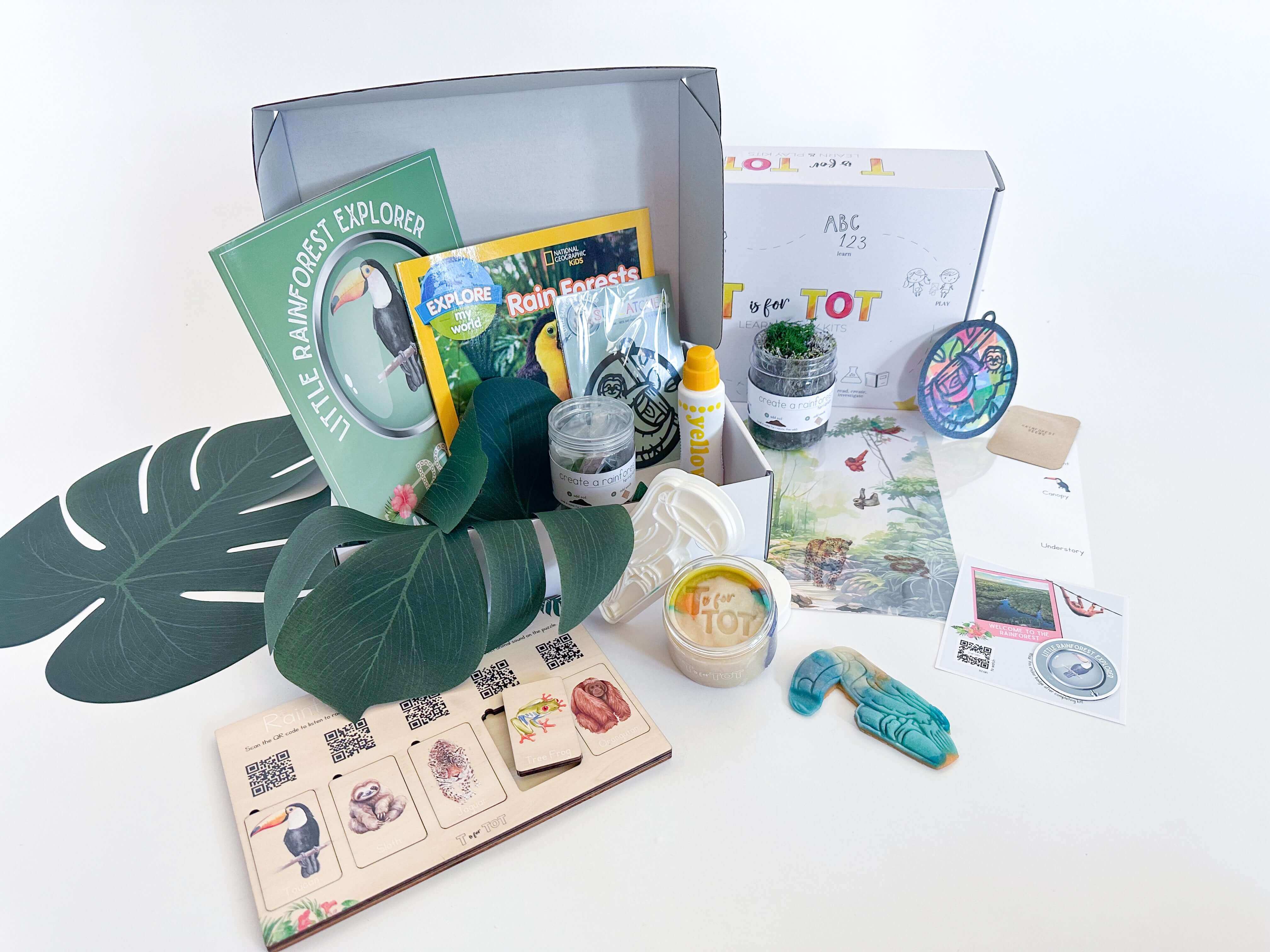 Hands-On Learning Rainforest Kit for Young Children