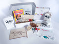 All components of the Digging for Dinosaurs Kit arranged neatly