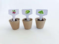 T Is For Tot Greenhouse Kit - Growing Plants with Kids
