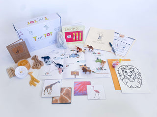 oo play kit for kids featuring giraffe playdough cutter, homemade playdough, a detailed zoo map, vet folder with expo marker, and play animals. Comes with a 